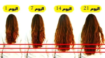 تطويل صاروخي.. اسرع 7 زيوت سحرية لتطويل وتغزير الشعر بسرعه فائقه شعرك هيبقي للركب